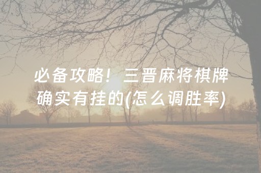 必备攻略！三晋麻将棋牌确实有挂的(怎么调胜率)
