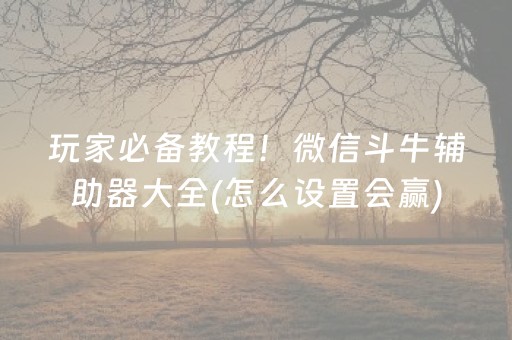 玩家必备教程！微信斗牛辅助器大全(怎么设置会赢)