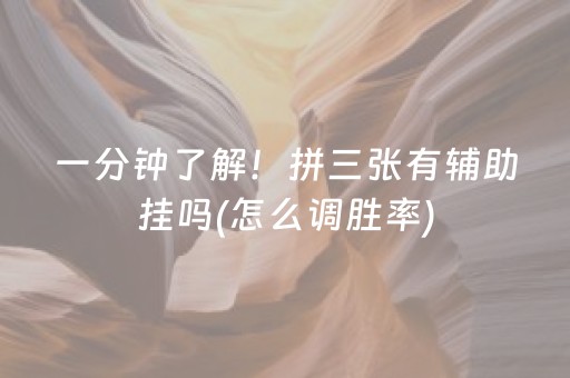 一分钟了解！拼三张有辅助挂吗(怎么调胜率)