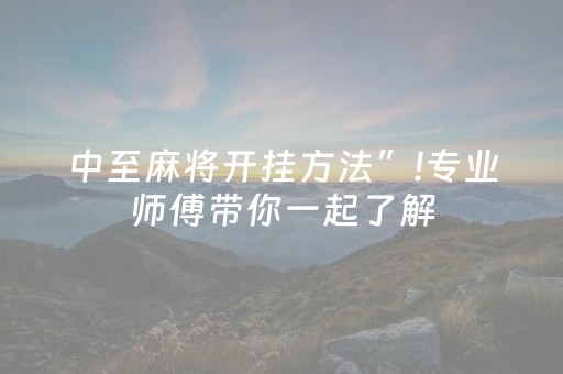 中至麻将开挂方法”!专业师傅带你一起了解（详细教程）-知乎