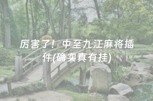 厉害了！中至九江麻将插件(确实真有挂)