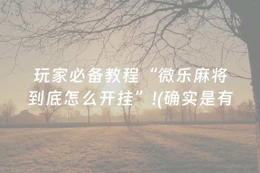 玩家必备教程“微乐麻将到底怎么开挂”!(确实是有挂)-知乎