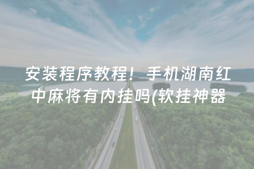 安装程序教程！手机湖南红中麻将有内挂吗(软挂神器)