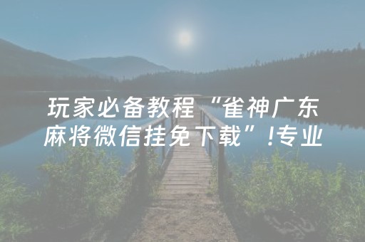 玩家必备教程“雀神广东麻将微信挂免下载”!专业师傅带你一起了解（详细教程）-知乎