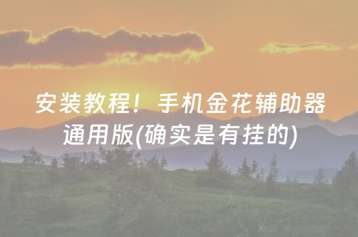 安装教程！手机金花辅助器通用版(确实是有挂的)