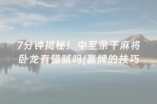 7分钟揭秘！中至余干麻将卧龙有猫腻吗(赢牌的技巧)