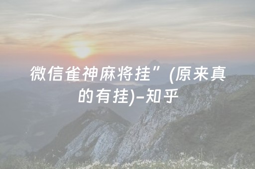 微信雀神麻将挂”(原来真的有挂)-知乎