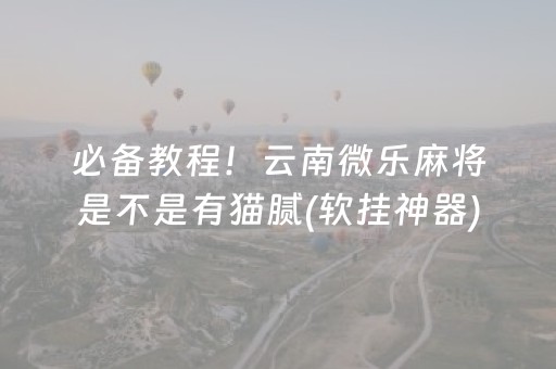 必备教程！云南微乐麻将是不是有猫腻(软挂神器)