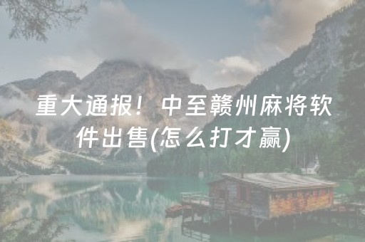 重大通报！中至赣州麻将软件出售(怎么打才赢)
