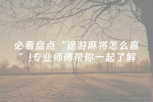 必看盘点“途游麻将怎么赢”!专业师傅带你一起了解（详细教程）-知乎