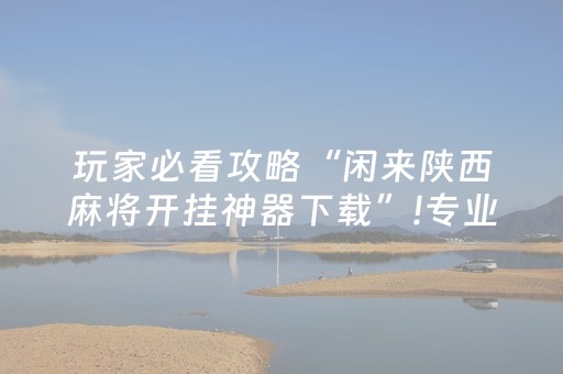 玩家必看攻略“闲来陕西麻将开挂神器下载”!专业师傅带你一起了解（详细教程）-知乎