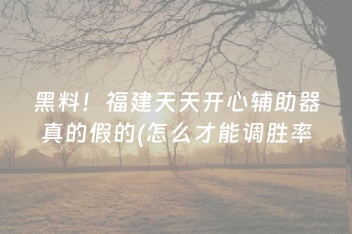 黑料！福建天天开心辅助器真的假的(怎么才能调胜率)