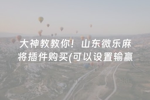 大神教教你！山东微乐麻将插件购买(可以设置输赢吗)
