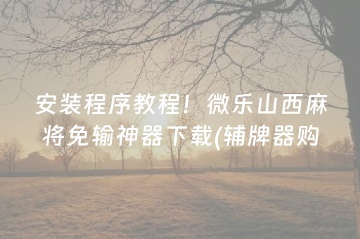 安装程序教程！微乐山西麻将免输神器下载(辅牌器购买)