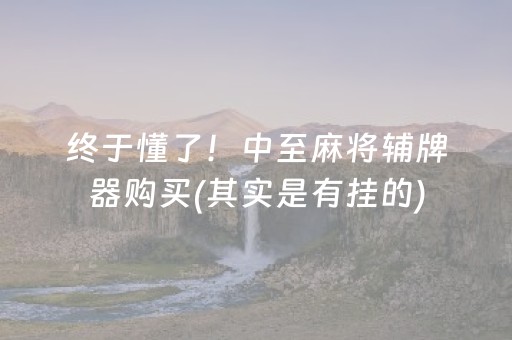 终于懂了！中至麻将辅牌器购买(其实是有挂的)