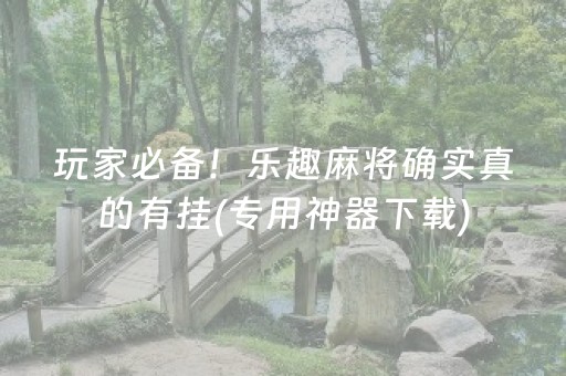玩家必备！乐趣麻将确实真的有挂(专用神器下载)