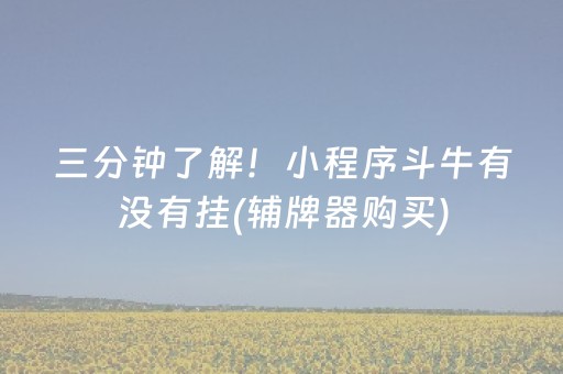 三分钟了解！小程序斗牛有没有挂(辅牌器购买)
