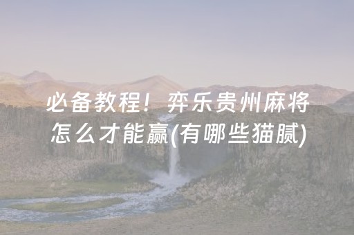 必备教程！弈乐贵州麻将怎么才能赢(有哪些猫腻)