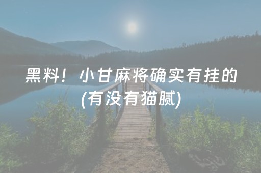 黑料！小甘麻将确实有挂的(有没有猫腻)