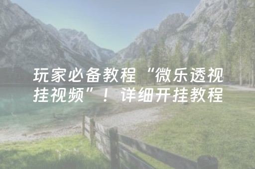 玩家必备教程“微乐透视挂视频”！详细开挂教程（确实真的有挂)-知乎
