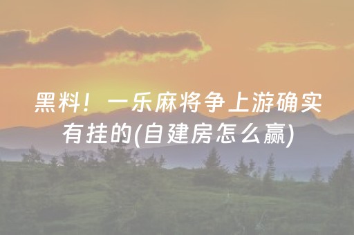 黑料！一乐麻将争上游确实有挂的(自建房怎么赢)