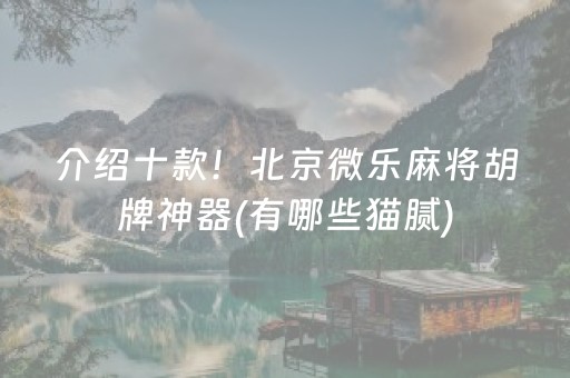 介绍十款！北京微乐麻将胡牌神器(有哪些猫腻)