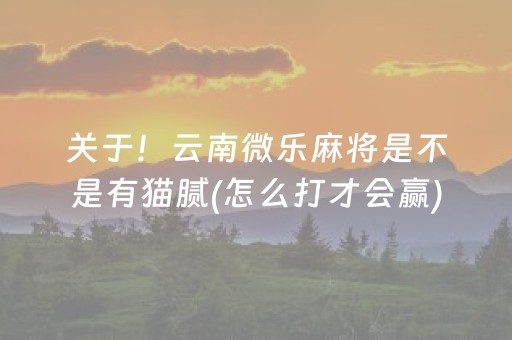 关于！云南微乐麻将是不是有猫腻(怎么打才会赢)