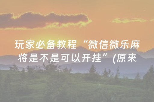 玩家必备教程“微信微乐麻将是不是可以开挂”(原来真的有挂)-知乎