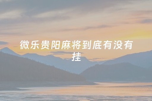 微乐贵阳麻将到底有没有挂（贵阳微乐麻将安装手机上）