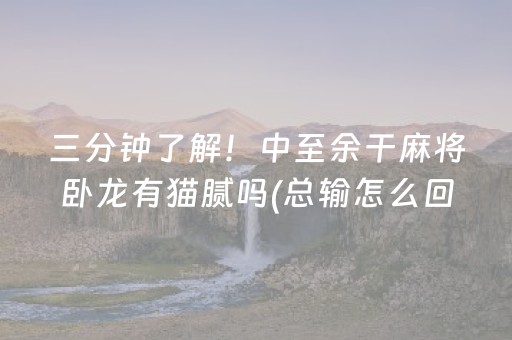 三分钟了解！中至余干麻将卧龙有猫腻吗(总输怎么回事)