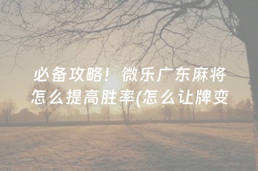 必备攻略！微乐广东麻将怎么提高胜率(怎么让牌变好)