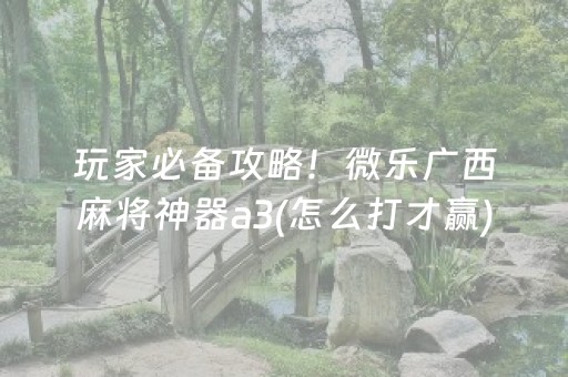 玩家必备攻略！微乐广西麻将神器a3(怎么打才赢)