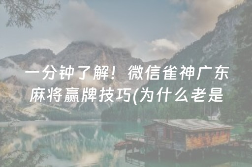 一分钟了解！微信雀神广东麻将赢牌技巧(为什么老是输)