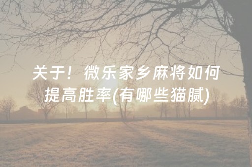 关于！微乐家乡麻将如何提高胜率(有哪些猫腻)