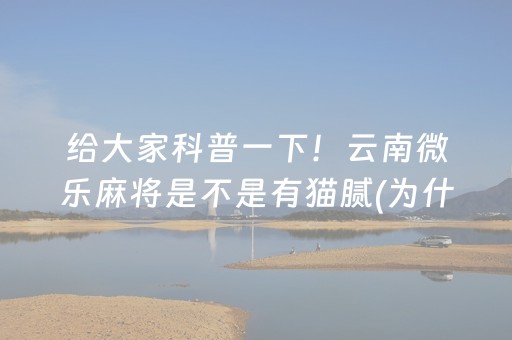 给大家科普一下！云南微乐麻将是不是有猫腻(为什么经常输)