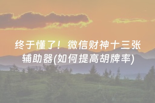 终于懂了！微信财神十三张辅助器(如何提高胡牌率)