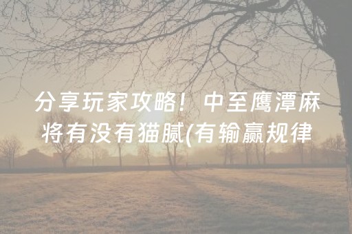 分享玩家攻略！中至鹰潭麻将有没有猫腻(有输赢规律吗)
