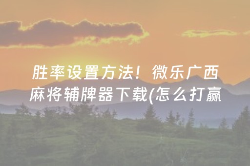 胜率设置方法！微乐广西麻将辅牌器下载(怎么打赢的几率大)