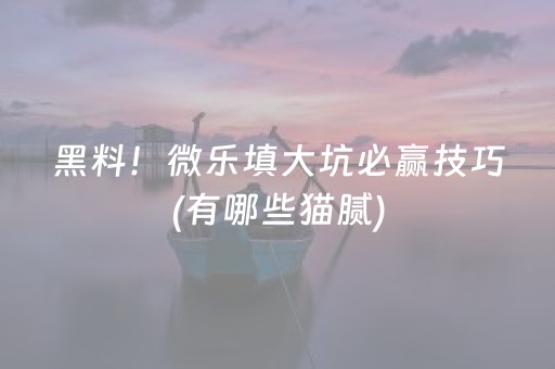 黑料！微乐填大坑必赢技巧(有哪些猫腻)
