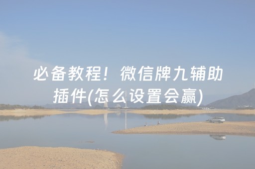 必备教程！微信牌九辅助插件(怎么设置会赢)