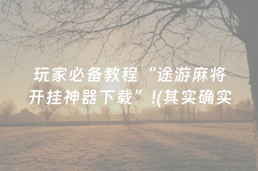 玩家必备教程“途游麻将开挂神器下载”!(其实确实有挂)-知乎