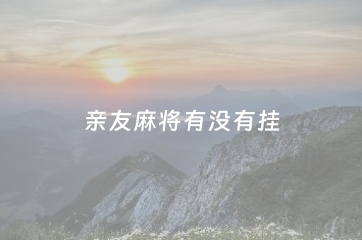 亲友麻将有没有挂（亲友团麻将）