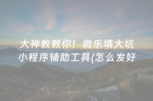 大神教教你！微乐填大坑小程序辅助工具(怎么发好牌)