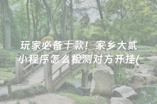 玩家必备十款！家乡大贰小程序怎么检测对方开挂(确实真有挂)