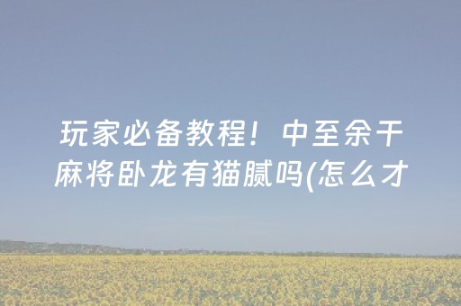 玩家必备教程！中至余干麻将卧龙有猫腻吗(怎么才能调胜率)
