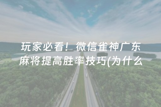 玩家必看！微信雀神广东麻将提高胜率技巧(为什么老是输呢)