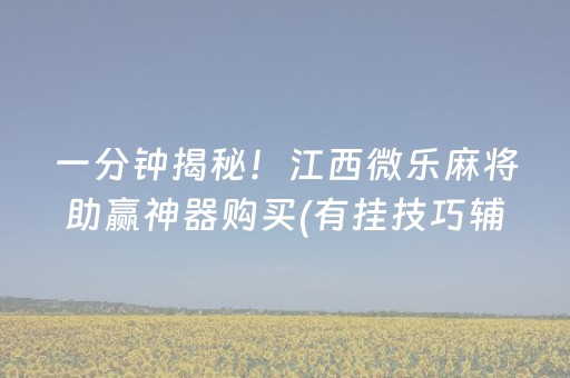 一分钟揭秘！江西微乐麻将助赢神器购买(有挂技巧辅助器)