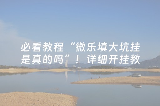 必看教程“微乐填大坑挂是真的吗”！详细开挂教程（确实真的有挂)-知乎