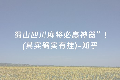 蜀山四川麻将必赢神器”!(其实确实有挂)-知乎