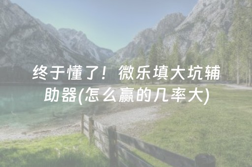 终于懂了！微乐填大坑辅助器(怎么赢的几率大)